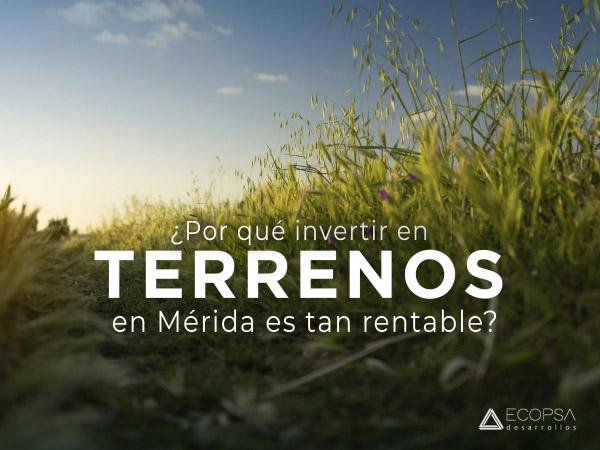 ¿Por qué es tan rentable invertir en terrenos en Mérida?